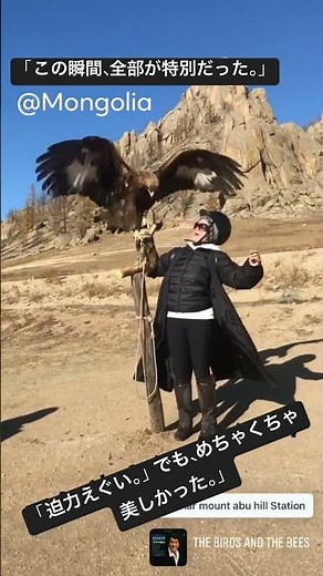 #モンゴル #イーグルハンター #鷲 #海外旅行 #絶景 #人生で一度は行きたい場所 #shorts #旅行vlog #非日常 #大自然