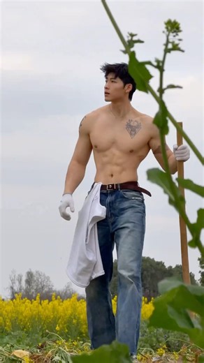 Boys | BL video | Asian Men | #body #boy #boyfriend #gay #bl #tiktok #trending #asian #shorts #fyp