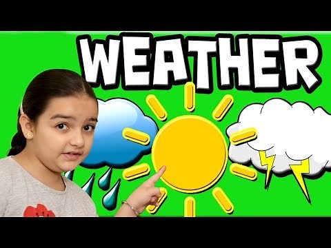 Learn the Weather for Kids | Weather types | Educational Video