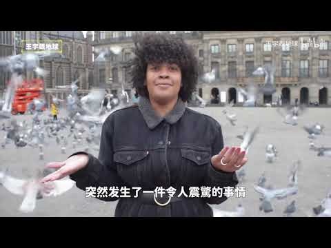 10 Most Terrifying Animal Phenomena: From Toad Explosions to Raining Snakes!