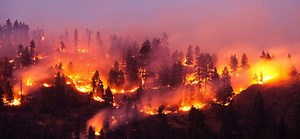 Moonlight Fire - Alchetron, The Free Social Encyclopedia