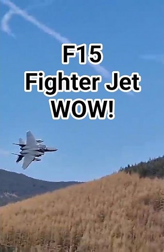 F15 Eagle Low Level Flyby The Mach Loop In Wales 🇺🇸