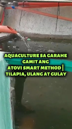 Garahe lang, pero may tilapia, ulang at sariwang gulay? Oo, posible pala gamit ang Atovi Smart Method 💡 Isang kababayan mula sa Cavite ang nag-set up ng aquaculture sa garahe gamit ang aquaponics system. May tanim na pechay, red lettuce, mustasa at kamatis — sapat para sa pagkain ng pamilya at may pangbenta pa. Ginamit ang Atovi sa tubig ng pond at sa feeds ng isda kaya: ✔️ Mabilis ang paglaki ng isda ✔️ Malinaw ang tubig ✔️ Walang malansang amoy kahit nasa garahe 👉 Gusto mo ring matutunan kun