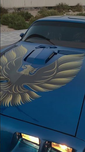 1979 TRANS AM FOR SALE