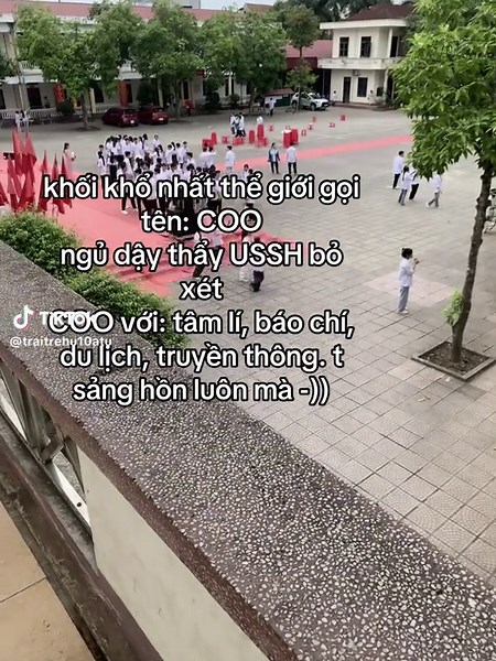 Tình Trạng Khối C00 Hiện Tại và Môn Học Liên Quan