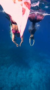 325K views · 5.5K reactions | Mermaids diving down to the depths  with Wands and Wishes Mermaids 隆‍♀️ #mermaid #professionalmermaid #mermaidtail #mermaidlife #folklore #mermaidcore #mermaid #ocean #fantasy #fantasycreature tails Finfolk Productions | Mermaid Sirenity | Facebook