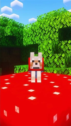 what does Minecraft dog do after you die?
