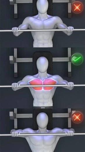 BEST EXERCISE FOR OPTIMAL CHEST GROWTH.#shorts