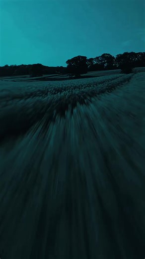 Believer By Imagine Dragons 🎧#believers #lyrics_songs #viral #song #foruyou #fyp