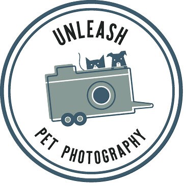 Unleash Pet Photography© - Mobile Studio Trailer Build