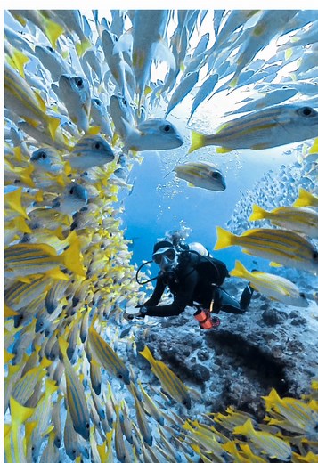 Scuba Diving Memories: Adventures Beneath the Waves