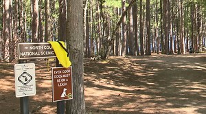 How two Marquette County attractions are keeping up with increased tourism