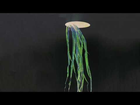 Summer Dress - Soundscape (Official Audio)