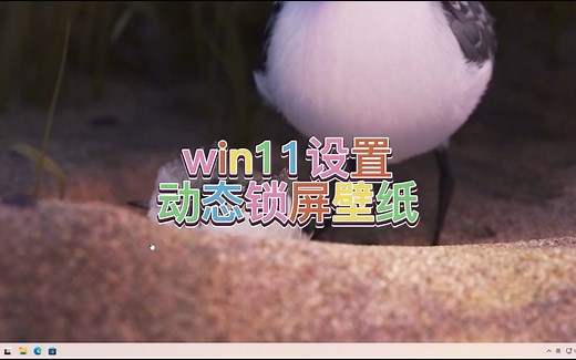 win11设置动态锁屏壁纸