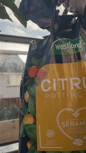 #myscottishgarden #scottishgarden #gardentok #garden