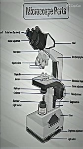 grade-7 science