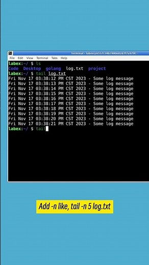 Practice Linux Commands 11 - tail #commandline #linuxcommands #linux #learnlinux