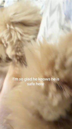 My sweet Pluto ❤️🐾🫶🏼