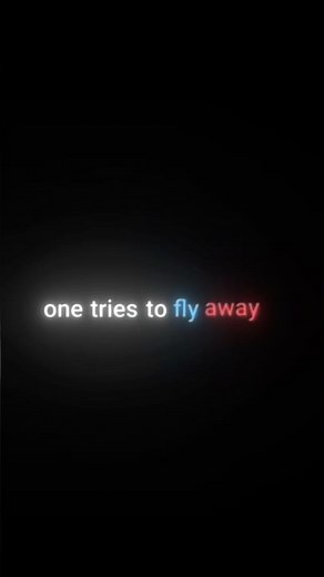 Two Birds On a Wire Lyrics Lyric Edit #whatsappstatus #music #lyrics #lyricvideo #shorts #foryou