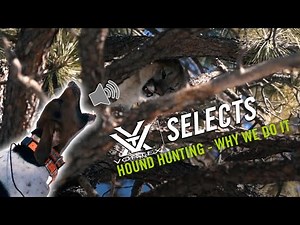 Hunting Mountain Lions Over Hounds ft. The Untamed | Vortex Selects