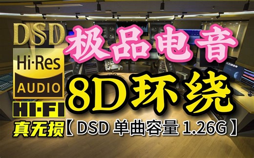 试音王牌，极品电音，8D环绕，DSD完整版，单曲容量1.26G【真正DSD无损HIFI音乐，百万调音师制作】