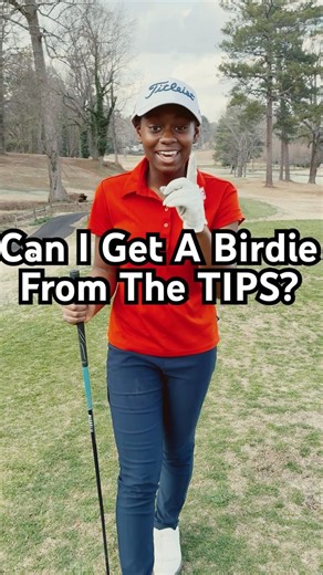 Can I Get Birdie From The TIPS