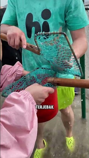 The Excitement of Hunting for Fish at Low Tide on the Beach