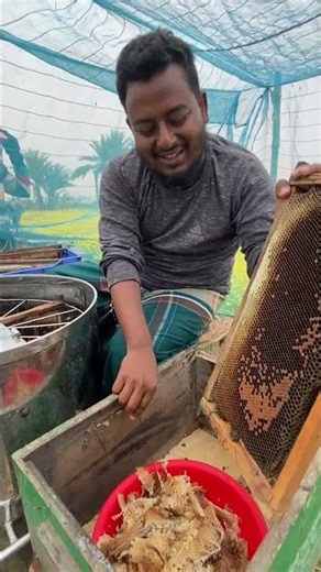 Natural Honey Collection – Straight from the Bees