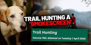 Government to launch consultation on stronger anti-hunting legislation