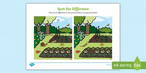 Minibeasts Spot the Difference Activity
