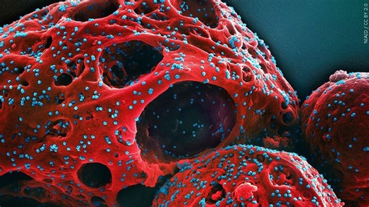 OK doctor addresses concerns with 'cicada' COVID variant