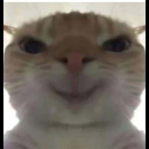 I'll build your bio link page for free