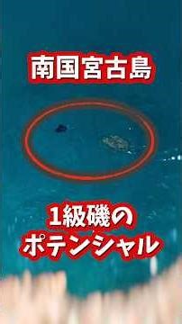 南国離島の荒磯でアドレナリンでまくりw #釣り #フカセ釣り #陸釣り #宮古島