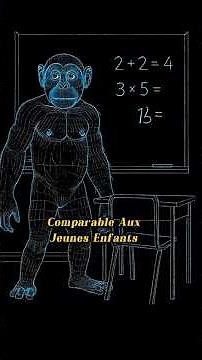 #science // Qu'est-ce qui définit vraiment l'intelligence selon vous ??