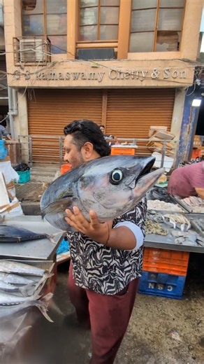 Rocking_Brothers on Instagram: "Bangalore Shivajinagar Russell fish Market biggest fish market full detail video 2025"