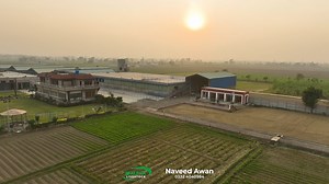 Brazil Imported Bulls at Alpha Livestock! . Pakistan’s most unique & powerful Brazil breeds — full showcase in one video! Daily new videos on our rare livestock collection. 👉 Like • Share • Follow Alpha Livestock 📞 0332-4040984 . #alphalivestock #brazilbulls #IMPORTEDBULLS #braziliancattle #rarebreedspakistan #LivestockPakistan #heavybulls #bullshowcase #animalloversunite #farmlifepakistan #braziltopakistan #nelore #brahmanbull #AgriculturePakistan #alphafarmhouse #viralvideochallenge#alphaliv