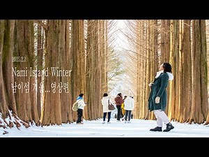 Nami Island Winter...2025 남이섬 겨울 여행(영상편)