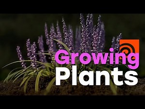 Houdini Adventure - Growing Flowers/Plants