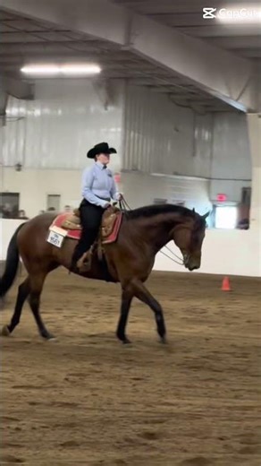 From my horsemanship pattern