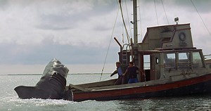 ‘Jaws’ Swims Back Into Theaters This Summer for 50th Anniversary