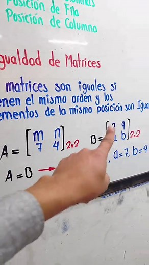 Matrices: Definición, Tipos y Propiedades (Algebra)