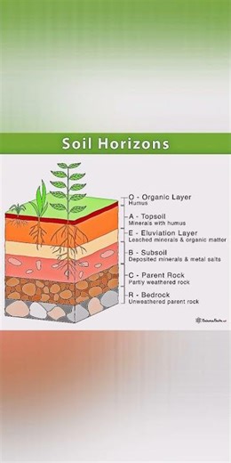 soil profile model