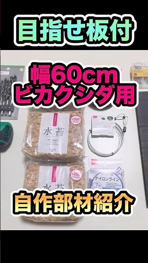 目指せ板付①【計2400円自作部材紹介！】#ビカクシダ #コウモリラン #板付け #板付けDIY #観葉植物 #観葉植物初心者 #植物のある暮らし #ダイソー #カインズ #焼桐板 #購入品紹介
