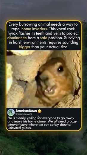 HOW HYRAXES SCARE PREDATORS