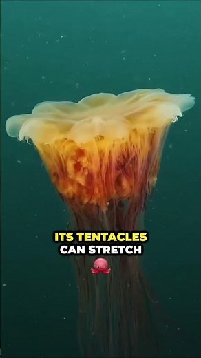 Things That Are WAY Bigger Than You Imagined