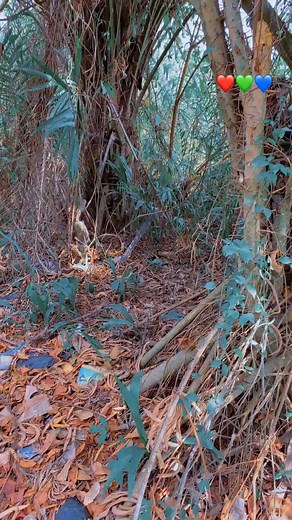 Doctor Time Daso Comedy (@doctor.time.daso.c)’s videos with original sound - Doctor Time Daso Comedy