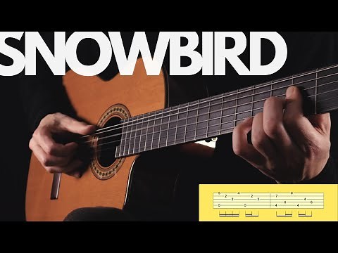 All the snow has gone, but I still play SNOWBIRD