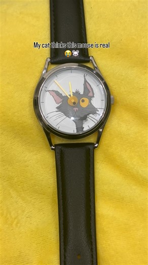 MeowTimeWatch on Instagram: "She Can’t Stop Watching the Mouse 😹 #FunnyCat #CatWatch #CatsOfInstagram #CatReels #PetReels"