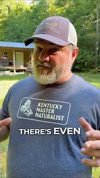 Mosquitoes Bad? Check Your Camp, Patio, or Porch Setup