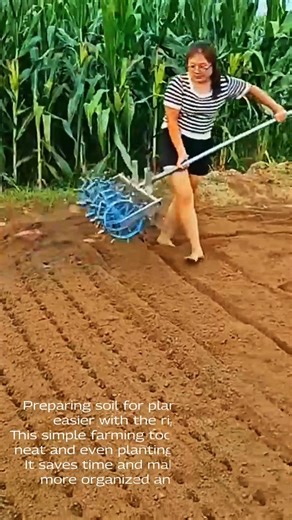 Simple Farming Tool for Making Planting Rows | Easy Garden Preparation